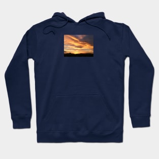 Sweeping gold Hoodie